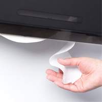 Cored JRT Combo Unit Toilet Paper Dispenser, Multiple Roll Capacity Northern Industrial Supply Inc.