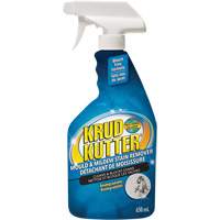Mold and Mildew Spray, 650 ml, Trigger Bottle Northern Industrial Supply Inc.