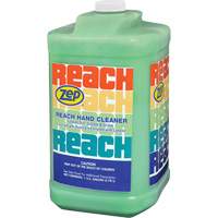 Reach Extra Heavy-Duty Hand Cleaner, Pumice, 3.78 L, Jug, Scented Northern Industrial Supply Inc.