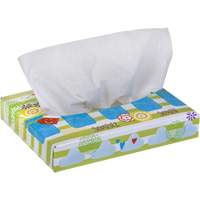 Kleenex&reg; Junior Facial Tissues, 2 Ply, 8.4" L x 5.5" W, 40 Sheets/Box Northern Industrial Supply Inc.