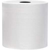 Snow Soft TAD Premium Hand Towel Rolls, 2 Ply, Standard, 700' L Northern Industrial Supply Inc.