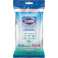 Disinfecting Wipes On the Go, 15 Count Northern Industrial Supply Inc.