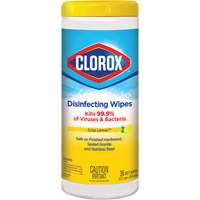 Disinfecting Wipes, 35 Count Northern Industrial Supply Inc.