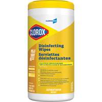 Disinfecting Wipes, 75 Count Northern Industrial Supply Inc.