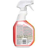 Nettoyant d&eacute;sinfectant contre les taches et odeurs biologiques, 946 ml, Bouteille &agrave; g&acirc;chette Northern Industrial Supply Inc.