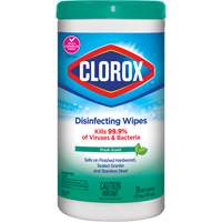 Disinfecting Wipes, 75 Count Northern Industrial Supply Inc.