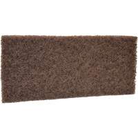 Coarse Scrub Pad, 10" L x 4-1/2" W Northern Industrial Supply Inc.
