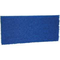 Medium Scrub Pad, 10" L x 4-1/2" W Northern Industrial Supply Inc.