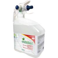 Concentrated Descaler, Cleaner & Dust Remover, Jug, 4 L Northern Industrial Supply Inc.