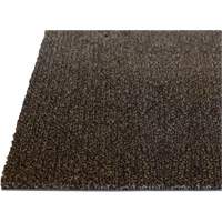 Tapis dint&eacute;rieur Palliser, Essuie-pieds/grattoir, 3-1/2' x 6' x 5/16", Anglis Northern Industrial Supply Inc.