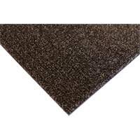 Tapis dint&eacute;rieur Palliser, Essuie-pieds/grattoir, 3-1/2' x 6' x 5/16", Anglis Northern Industrial Supply Inc.