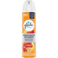 Air Freshener, Hawaiian Breeze&reg;, Aerosol Can Northern Industrial Supply Inc.