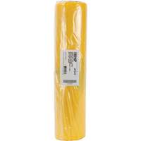 Doublures pour d&eacute;chets dangereux, Amiante, 40" lo x 26" la, 3 mils Northern Industrial Supply Inc.