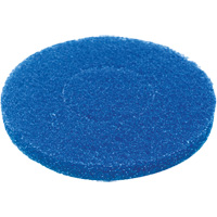 Floor Pad, Cleaning, Blue Northern Industrial Supply Inc.