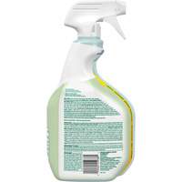 Nettoyant d&eacute;sinfectant CloroxPro Clorox EcoClean, 946 ml, Bouteille &agrave; g&acirc;chette Northern Industrial Supply Inc.