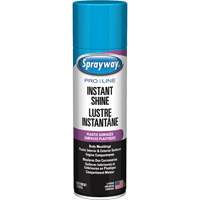 Pro Line Instant Shine for Plastic Surfaces, 11 oz., Aerosol Can Northern Industrial Supply Inc.