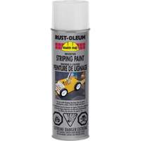 Inverted Marking Paint Spray, White, Aerosol Can Northern Industrial Supply Inc.