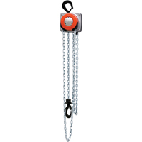 Hurricane 360° Chain Hoist, 10' Lift, 1000 lbs. (0.5 tons) Capacity, Steel Chain Northern Industrial Supply Inc.