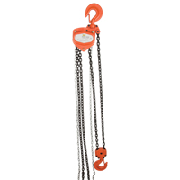 Chain Hoist, 10' Lift, 1000 lbs. (0.5 tons) Capacity, Alloy Steel Chain Northern Industrial Supply Inc.