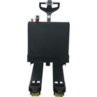 Transpalette &eacute;lectrique motoris&eacute;, Capacit&eacute; 4500 lb, 48" lo x 30,25" la Northern Industrial Supply Inc.