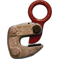 Pinces de levage