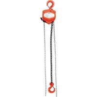 Chain Hoist, 10' Lift, 1000 lbs. (0.45 tons) Capacity, Alloy Steel Chain Northern Industrial Supply Inc.
