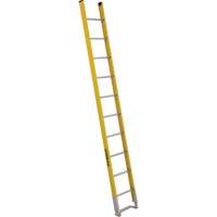 Single Section Straight Ladder - 6100 Series, 10', Fibreglass, 375 lbs., CSA Grade 1AA Northern Industrial Supply Inc.