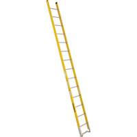 &eacute;chelle simple &agrave; une section - S&eacute;rie 6100, 14', Fibre de verre, 375 lb, CSA calibre 1AA Northern Industrial Supply Inc.