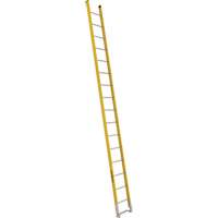 &eacute;chelle simple &agrave; une section - S&eacute;rie 6100, 16', Fibre de verre, 375 lb, CSA calibre 1AA Northern Industrial Supply Inc.
