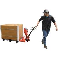 Pallet Truck, 48" L x 27.5" W, 5000 lbs. Cap. Northern Industrial Supply Inc.