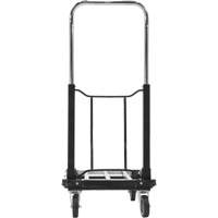 Fold-Up Platform Truck, Stainless Steel, 300 lbs., 28" L x 16" W, 33-1/2" High Northern Industrial Supply Inc.