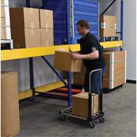 Fold-Up Platform Truck, Stainless Steel, 300 lbs., 28" L x 16" W, 33-1/2" High Northern Industrial Supply Inc.