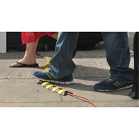 Ultra-Sidewinder&reg; Cable Protection System - Small, 13.125" x 3" x 0.75", 32000 lbs. (16 tons) Northern Industrial Supply Inc.