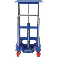 Lift Table, 30"L x 24"W, Steel, 2000 lbs. Capacity Northern Industrial Supply Inc.