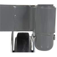 Platform Truck, 48" L x 24" W, 2000 lbs. Capacity, Rubber Casters Northern Industrial Supply Inc.