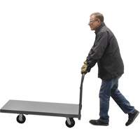 Platform Truck, 48" L x 24" W, 2000 lbs. Capacity, Rubber Casters Northern Industrial Supply Inc.