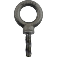 Boulon &agrave; oeil en acier alli&eacute;, 1" dia, 1-1/4" lo, 1480 lb (0,74 tonnes)/1480 lb capacit&eacute; Northern Industrial Supply Inc.