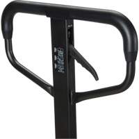 Transpalette manuel Quick-Lift, Acier, 48" lo x 20,5" la, Capacit&eacute; 5500 lb Northern Industrial Supply Inc.