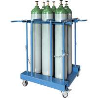 6-Cylinder Forklift Cylinder Storage Caddy Northern Industrial Supply Inc.