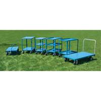 Heavy-Duty Platform Truck, 48" L x 24" W, 1200 lbs. Capacity, Flat Free Casters Northern Industrial Supply Inc.