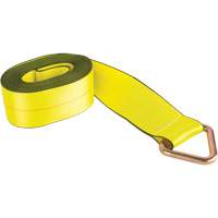 Logistic Strap, Delta Ring, 30' W x 4" L, 5400 lbs. (2449 kg) Working Load Limit Northern Industrial Supply Inc.