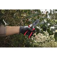 1” Angled Pruning Shears Northern Industrial Supply Inc.