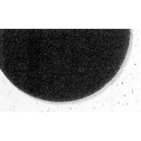 7300 Pro-Strip Pads, 17", Stripping, Black Northern Industrial Supply Inc.