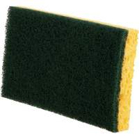 &eacute;ponges utilitaires, Cellulose, 6" la x 3-1/2" l Northern Industrial Supply Inc.