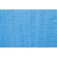 Tarp, Standard Duty, Blue, 7' x 5' x 4 mils Northern Industrial Supply Inc.