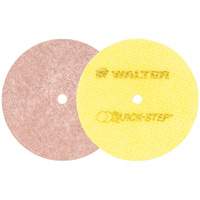 Quick-Step Instant Polish Discs, 5" Dia. Northern Industrial Supply Inc.