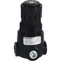 R&eacute;gulateur miniature R03 Wilkerson, 1/8" NPT, PSI max. de 300 psi, Standard Northern Industrial Supply Inc.