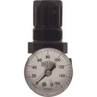 R&eacute;gulateur miniature de s&eacute;rie 1, 1/8" NPT, PSI max. de 100 psi, Standard Northern Industrial Supply Inc.