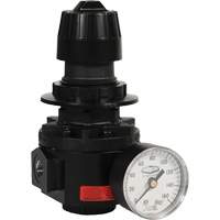 R&eacute;gulateur Wilkerson R26, 1/2" NPT, PSI max. de 300 psi, Standard Northern Industrial Supply Inc.