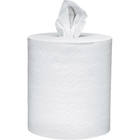 Scott&reg; Essential Paper Towels, 2 Ply, Centre Pull, 625' L Northern Industrial Supply Inc.